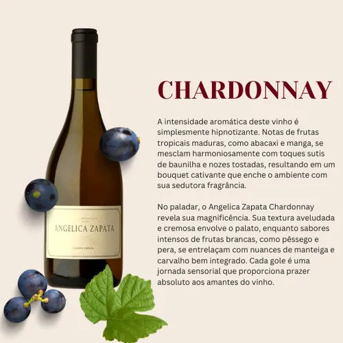 4 Unidades Vinho Argentino Tinto Angelica Zapata Chardonnay